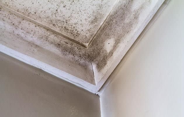 Having mould in our home is a reality for a lot of us. Photo: Getty images