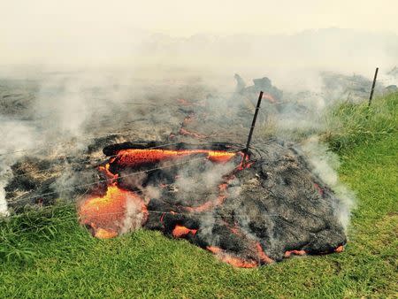 The lava flow from the Kilauea Volcano is seen advancing across a pasture between the Pahoa cemetery and Apa'a Street near the village of Pahoa, Hawaii October 25, 2014. REUTERS/U.S. Geological Survey/Handout