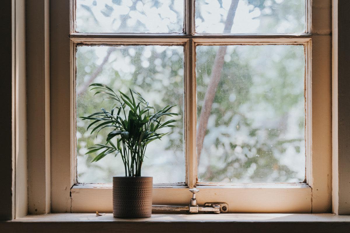 Generic image of window <i>(Image: Gilberto Olimpio from Pexels)</i>