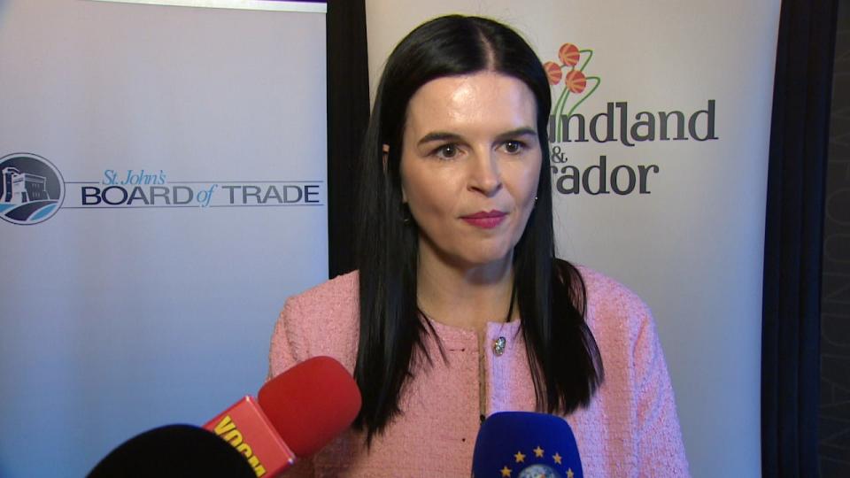 AnnMarie Boudreau, CEO of the St. John's Board of Trade, said the program will bring meaningful support to small and medium-sized businesses.