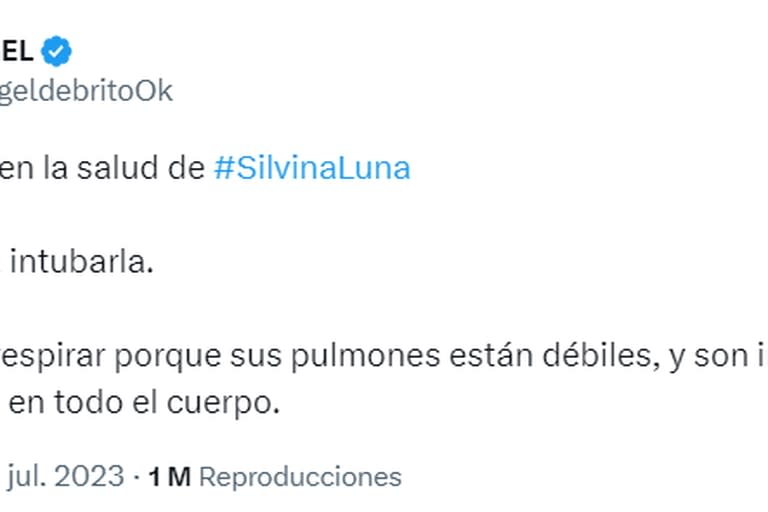 Ángel de Brito brindó más información sobre el estado de salud de Silvina Luna