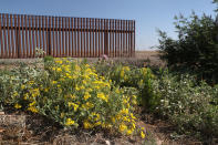 <p>A mock U.S.-Mexico border fence stands inside the U.S. Border Patrol Academy on August 3, 2017 in Artesia, N.M. (Photo: John Moore/Getty Images) </p>