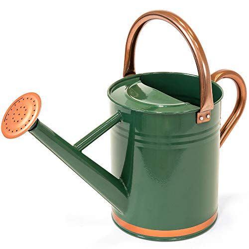 18) 1-Gallon Lightweight Galvanized Steel Watering Can