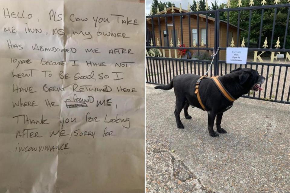 The dog was abandoned with a note from its owner (Jasmil Kennels)