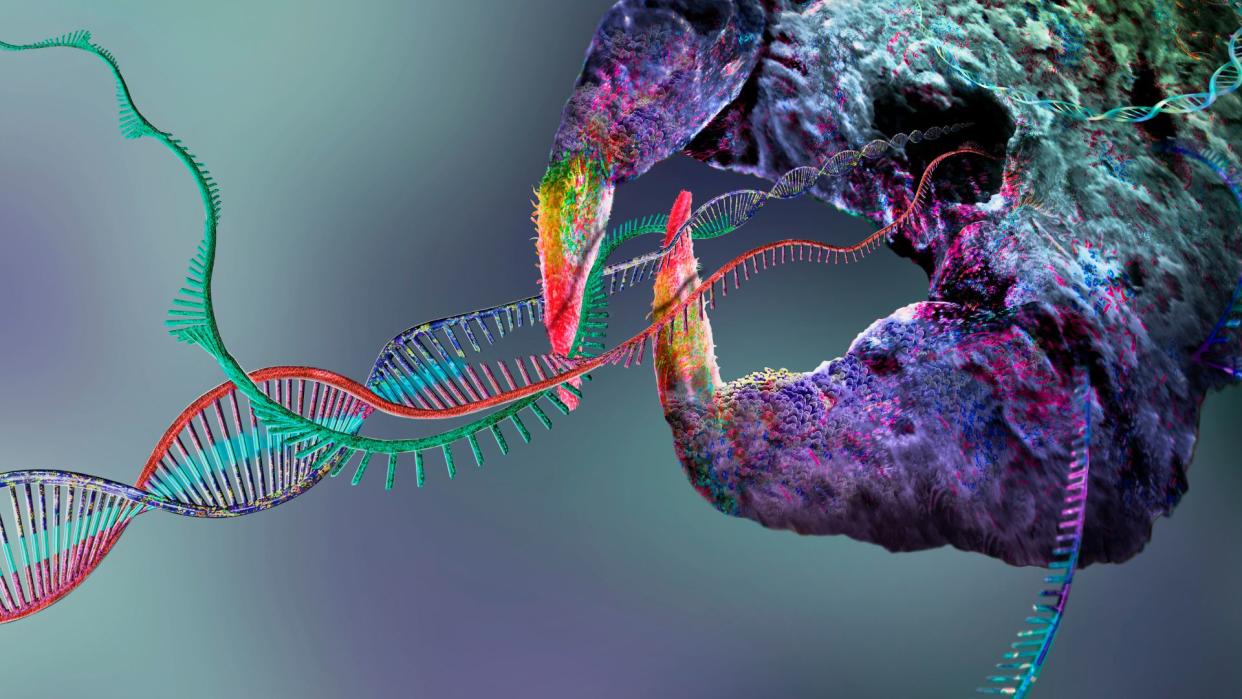  illustration shows the gene-editing tool CRISPR depicted as a large claw-shaped protein complex. CRISPR is snipping into a long DNA molecule 