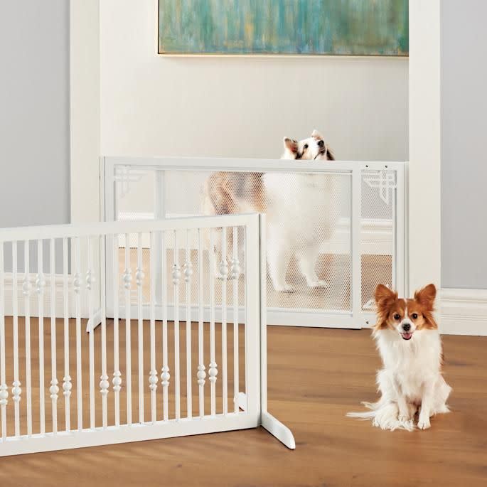 Benson Pet Gates