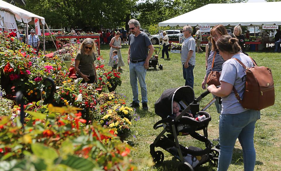 Visitors look over the plants for sale at the opening day of the Wilmington Flower Market at Rockford Park.