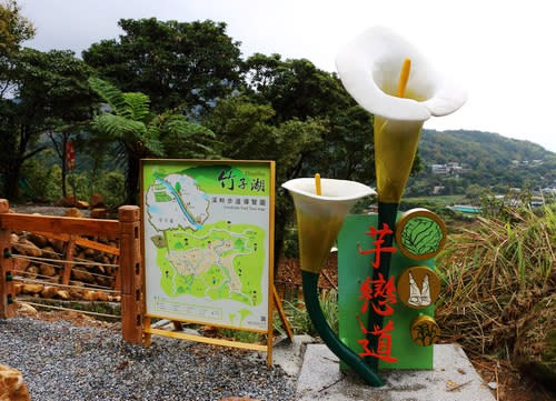 竹子湖「芋戀道」