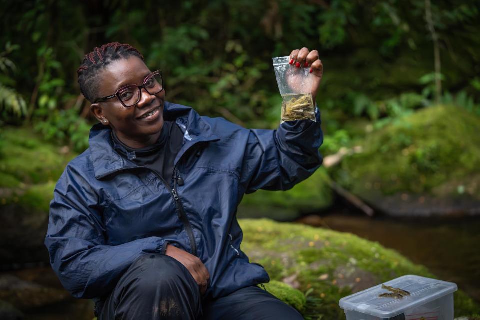 Erica Tovela from the Maputo Natural History Museum