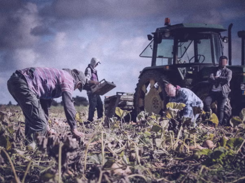 The seasonal worker scheme allows UK growers to hire around 45,000 people a year on six-month visas (National Crime Agency)
