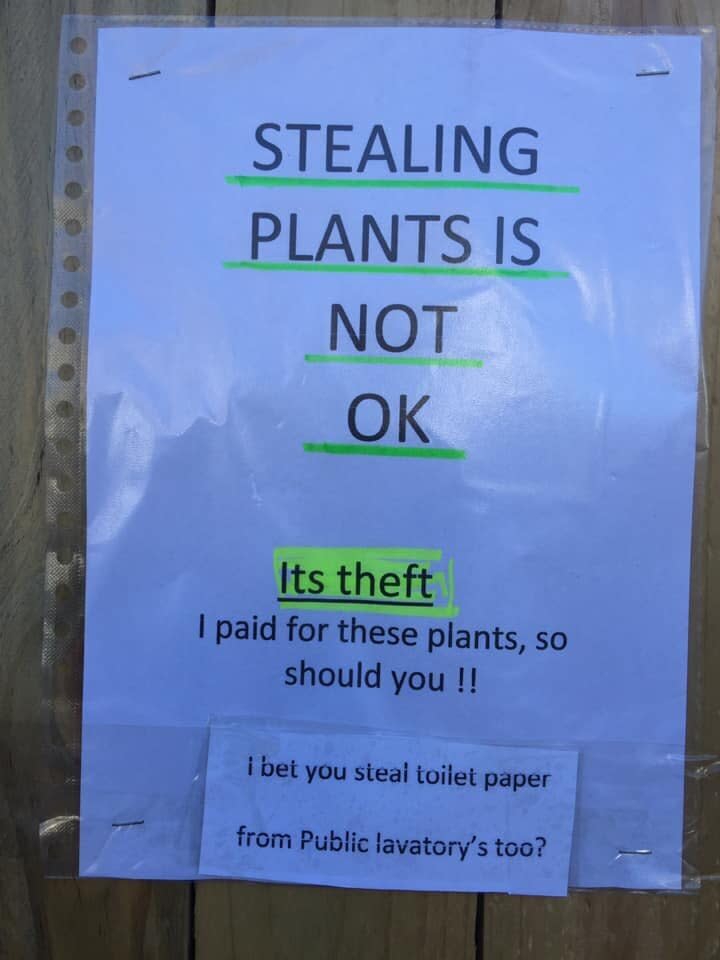 One of the Sydney woman's signs in Bondi read: "Stealing plants is not ok. It's theft. I paid for these plants, so you should. I bet you steal toilet paper from public lavatories too." Source: Facebook