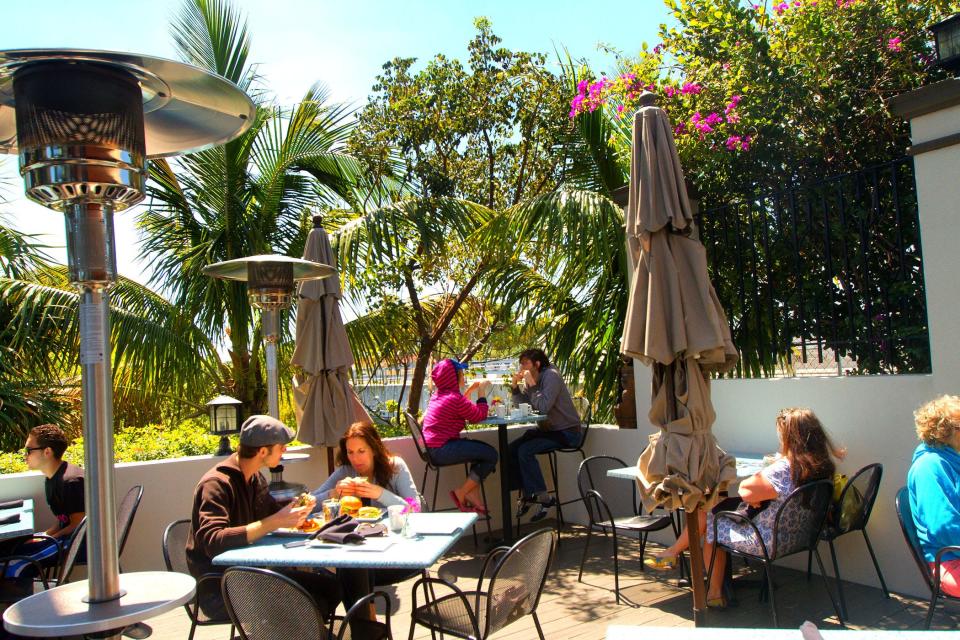 Darbster's outdoor terrace along a quiet canal in West Palm Beach serves up delicious vegetarian food and is very dog friendly.