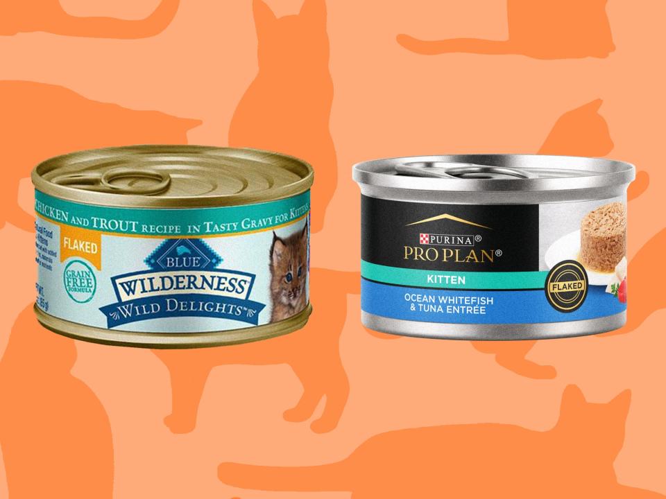 Two cans of Blue Buffalo and Purina flaked kitten food on an orange background patterned with cat silhouettes.