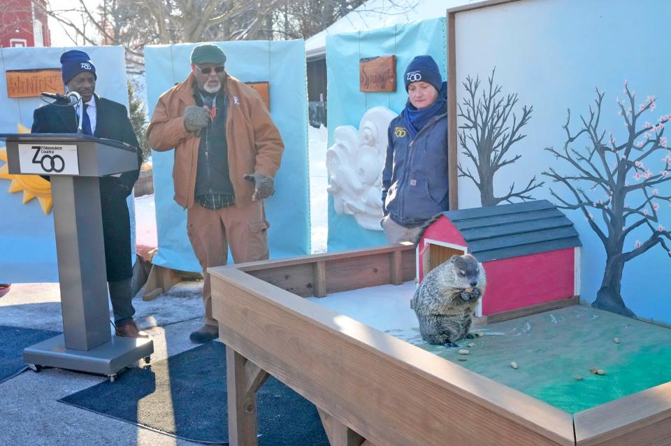 Milwaukee County Zoo resident groundhog, Gordy, makes his annual Groundhog Day appearance as (from far left)  Milwaukee County Executive David Crowley, Milwaukee County Zoo Director Amos Morris, and zookeeper Bridget Carpenter look on at the Zoo’s Family Farm in Milwaukee on Thursday.  Gordy saw his shadow, meaning we can expect 6 more weeks of winter, according to tradition.