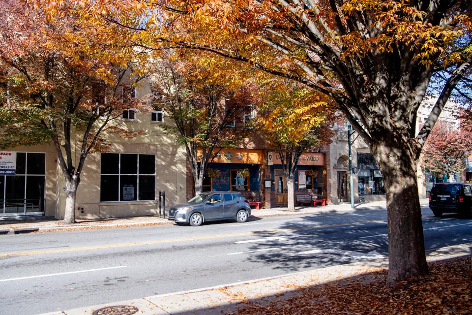 An arborist is responsible for maintenance and management of all trees on public property, including city parks, right of ways, greenways, and street trees.