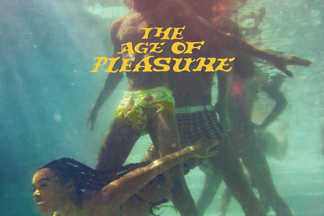 <p>Atlantic/ Amazon</p> Janelle Monáe, 'The Age of Pleasure'