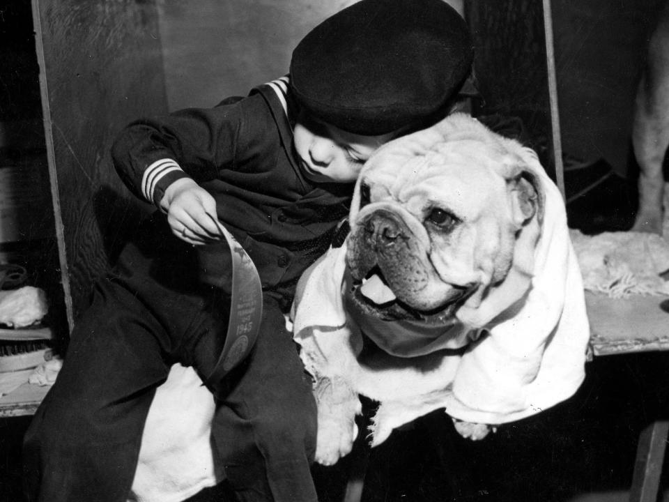 vintage westminster dog show