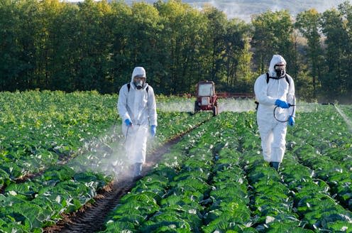 <span class="caption">Nano-enabled pesticides may be efficient but could be hazardous to the surrounding environment beyond target crop pests. </span> <span class="attribution"><a class="link " href="https://www.shutterstock.com/image-photo/farmer-agronomist-spraying-pesticide-on-field-1843140232" rel="nofollow noopener" target="_blank" data-ylk="slk:NataliAlba/Shutterstock;elm:context_link;itc:0;sec:content-canvas">NataliAlba/Shutterstock</a></span>