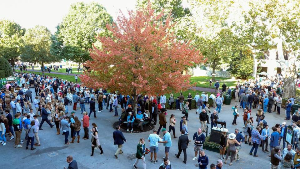 The paddock area on opening day of the 2022 Fall Meet at Keeneland Racetrack in Lexington, Ky., Friday, Oct. 7, 2022. The paddock is a popular area for race fans to take in the beauty of the Lexington track.