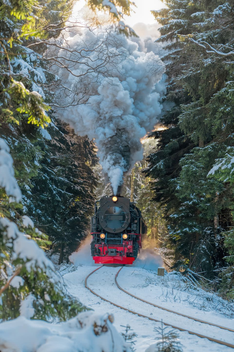<p>Take a traditional steam train to the summit of Brocken, taking in the beautiful scenery of the Harz Mountains National Park as you go.</p>