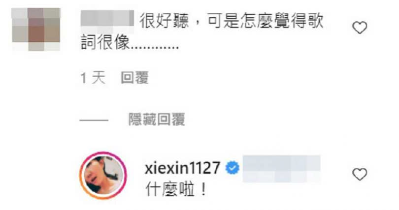   網友留言。（圖／翻攝自xiexin1127 IG）