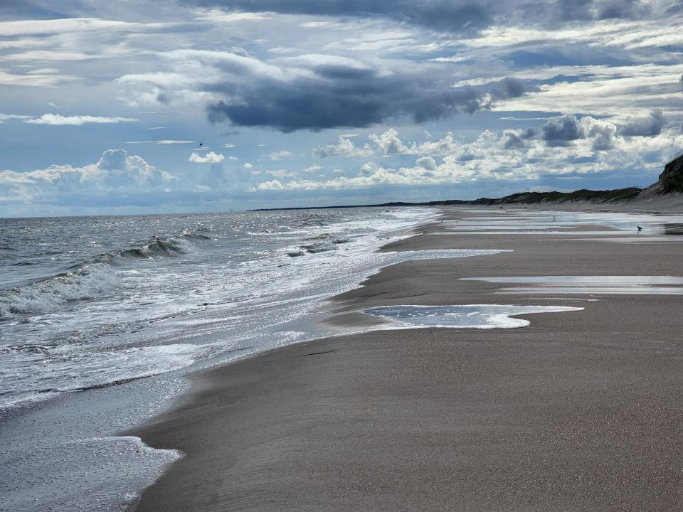 Hammocks Beach State Park in Swansboro is a short drive and offers a small museum, camping, picnic areas and a short ferry ride to Bear Island.