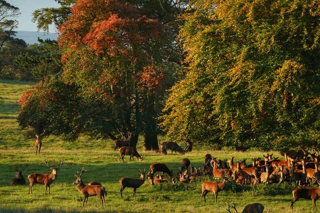 Autumn weather Oct 7th 2020