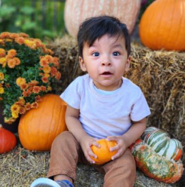 Pumpkinville. Image courtesy Myriad Botanical Gardens.