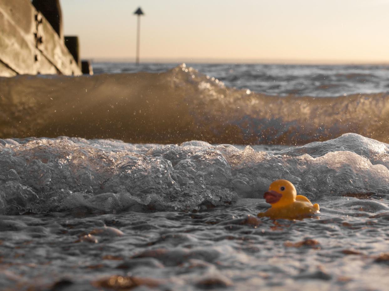 An fun image capturing a classic yellow bath duck in the shores of Southend-on-Sea, Essex, England. The plastic duck floats with some waves coming in from behind. A breakwater just out to sea from the left hand side of the frame.Rubber Ducky on beach 