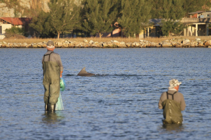 In this 2014 photo provided by Oregon State University, at Praia da Tesoura, in Laguna, fishers await for dolphins to signal the right moment to cast their nets. In the seaside city of Laguna, Brazil, scientists have, for the first time, used drones, underwater sound recordings and other tools to document how people and dolphins coordinate actions and benefit from each other’s labor. The research was published Monday, Jan. 30, 2023, in the Proceedings of the National Academy of Sciences. (Dr. Carolina Bezama/Universidade Federal de Santa Catarina via AP)