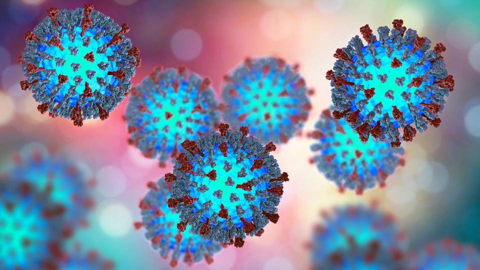 Measles viruses. 3D illustration showing structure of measles virus with surface glycoprotein spikes heamagglutinin-neuraminidase and fusion protein