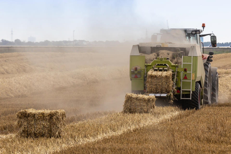 A tractor is harvesting and baling hay in a large, open field, leaving neatly stacked bales of hay behind it