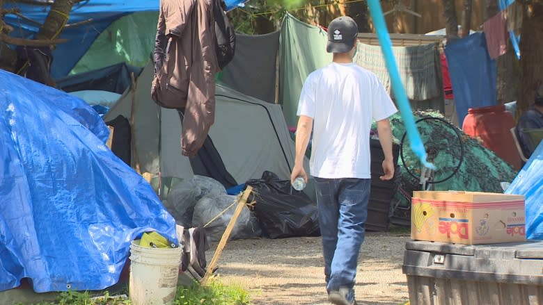 City of Maple Ridge and homeless camp residents reach agreement to keep camp open