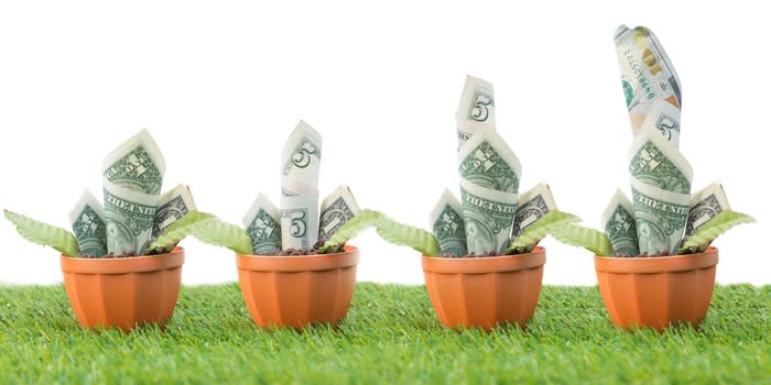 Four pots with progressively larger money-based plants growing out of them.