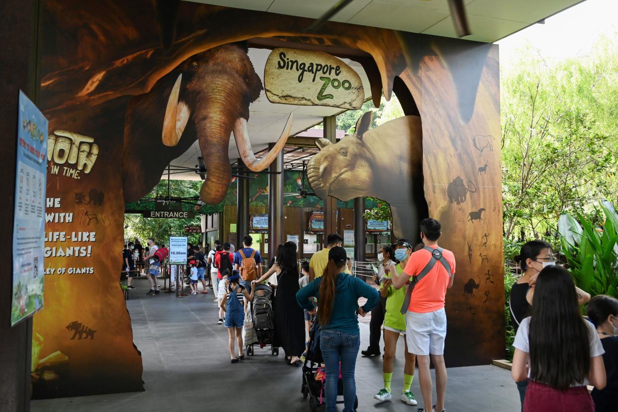 Visitors queue to enter the Singapore Zoo in Singapore on July 6, 2020, on its first day of reopening to the public after the attraction was temporarily closed due to concerns about the COVID-19 novel coronavirus. (Photo by Roslan RAHMAN / AFP) (Photo by ROSLAN RAHMAN/AFP via Getty Images)