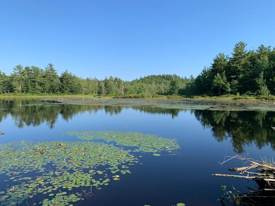 Winchendon Spring Lake Association and several residents of Lake Mononomac are in full support of the NCLT land conservation project.