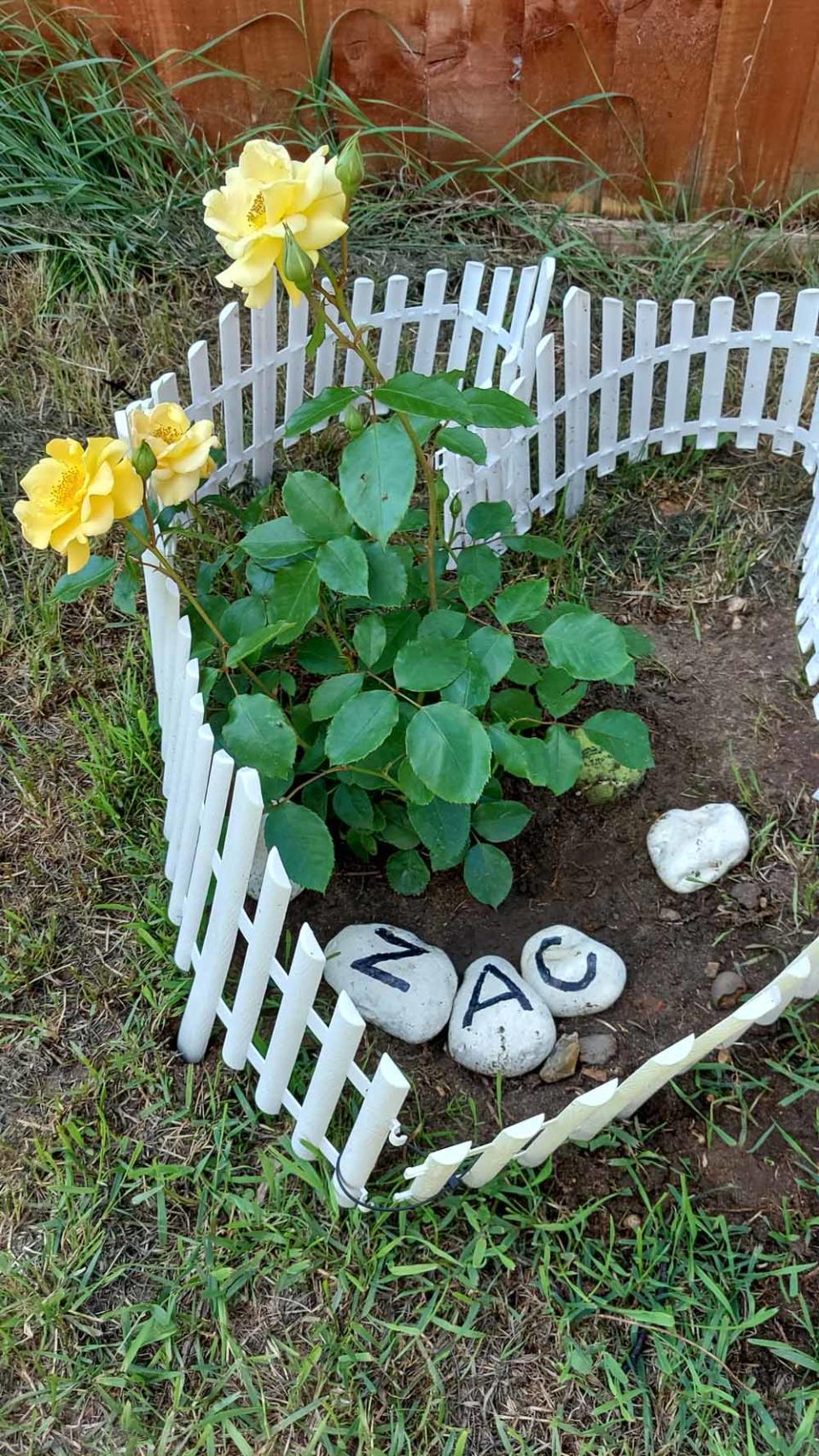 The couple created a memorial rose bush in their garden (Collect/PA Real Life).