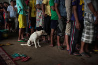 <p>Residents who survived the siege of ISIS-linked militatnts line up to receive supply and food in an evacuation center inside the city on May 30, 2017 in Marawi city, southern Philippines. (Jes Aznar/Getty Images) </p>