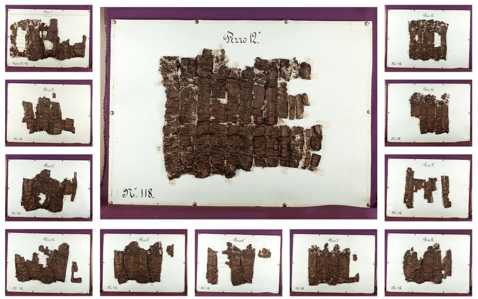 12 brown pieces of the opened Herculaneum papyrus scroll known as P.Herc.118