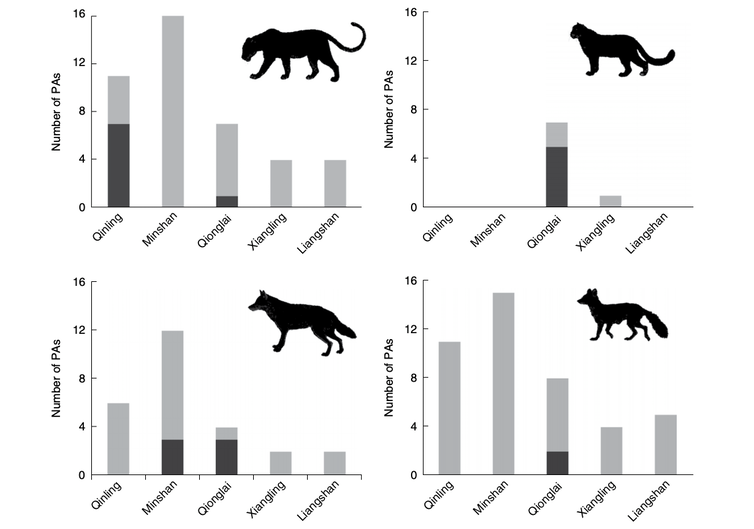 Four graphs showing where four large carnivores still exist in protected areas throughout the giant panda's range.