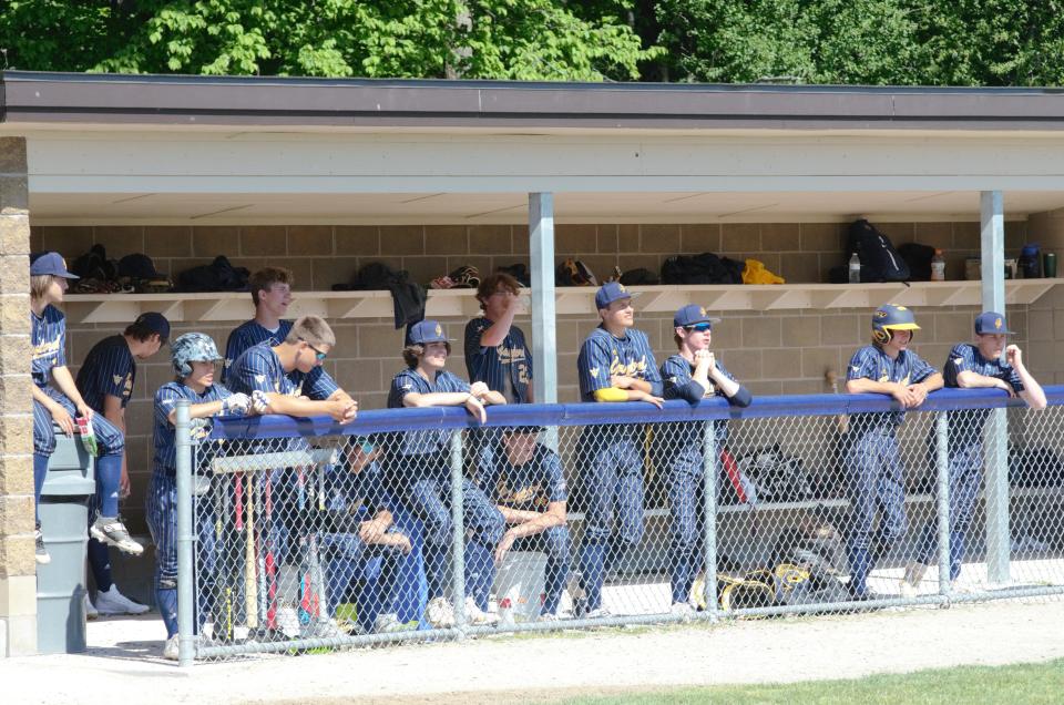 Gaylord's bench watches a play and reacts during the Region 2 district semifinal on Saturday, June 4 at Joe Turcott in Petoskey, Mich.
