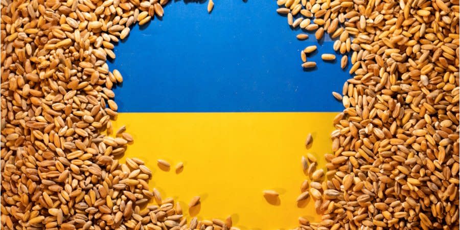 Russia continues to steal Ukrainian grain