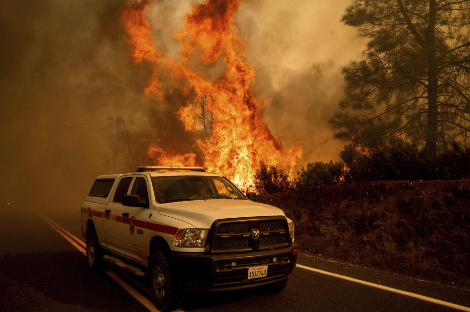 Flames from the LNU Lightning Complex fires leap above Butts Canyon Road on Sunday, Aug. 23, 2020, in unincorporated Lake County, Calif. (AP Photo/Noah Berger)