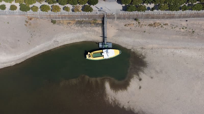 FILE PHOTO: Drought means low water levels in Rhine