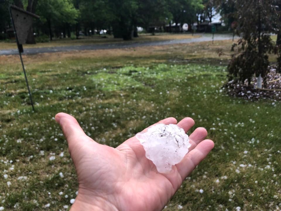 A-hand-holds-a-golf-ball-sized-hail-stone-in-front-of-a-grassy-lawn-with-scattered-hail-stones.