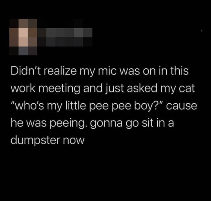 tweet of someone saying "who's my litttle pee pee boy" to a cat while on Zoom