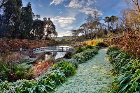 Trebah - Credit: ALAMY