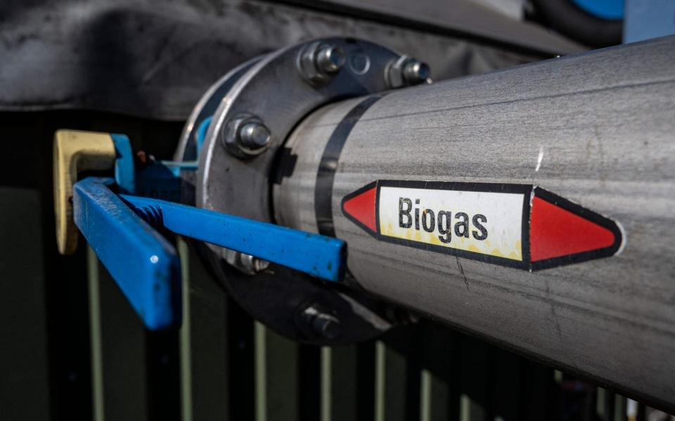 Germany Russia biogas gas energy sanctions - John MACDOUGALL / AFP
