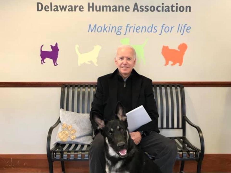 Joe Biden with his dog Major at the Delaware Humane Association.