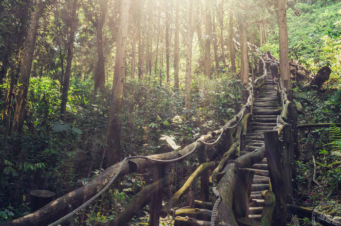 大坑登山步道（圖片來源：台中觀光旅遊網）